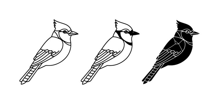 Blue Jay Vector Icons: Line Art, Outline, Silhouette Bird Graphics