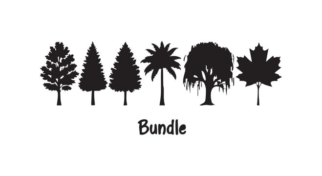 Forest tree silhouette bundle featuring diverse species including pine palm maple and deciduous leafy trees for landscape.