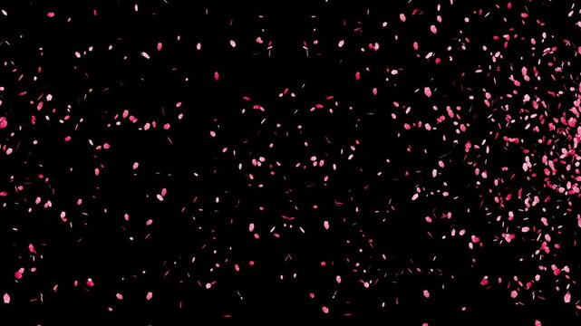 A 3D rose petal confetti animation. Rose petal confetti is launched once from each side of the screen at different times, and the animation is rendered in ProRes 4444 Alpha format.