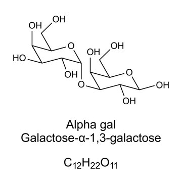 Alpha gal, or Galili antigen, chemical formula and molecular structure of galactose-&alpha;-1,3-galactose. The apha-gal syndrome or mammalian meat allergy is related to this carbohydrate molecule. Vector