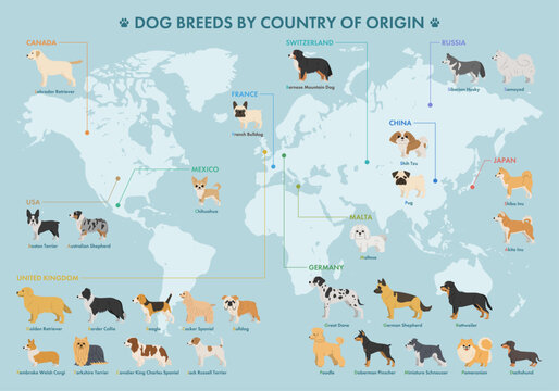 Dog breeds categorized by country of origin world map vector illustration