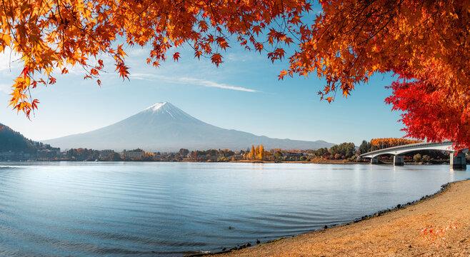 Mount Fuji, Lake Kawaguchi, and maple leaves