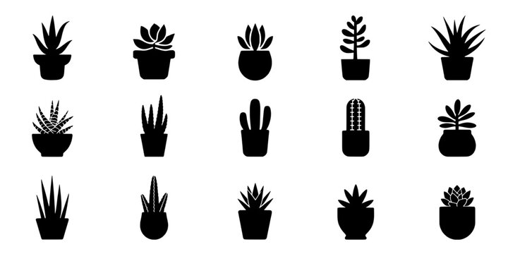 Plants potted set with various succulent and cactus designs in black and white featuring succulents, cacti, minimalist with icons and garden elements