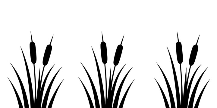 Reeds silhouette vector set with three clusters of tall black blades for calm nature backgrounds featuring marsh plants, wetland vegetation, plant