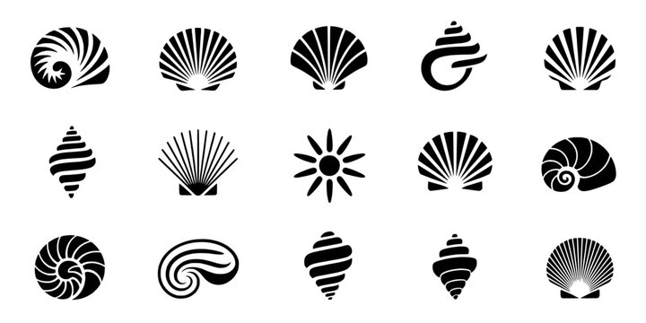 Shell icons set featuring spiral, nautilus, clam and scallop shapes for beach, ocean, and marine design graphics
