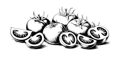 Fototapeta premium Tomatoes hand-drawn illustration with sliced pieces and whole fruits featuring vegetables, fresh, organic with healthy and food elements for produce,