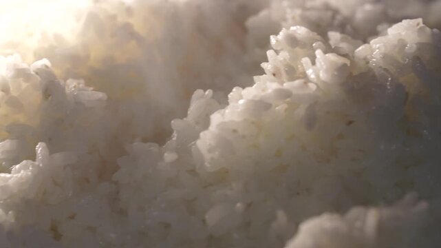 Korean traditional food freshly cooked white rice bowl steam 대한민국 한국 전통 음식 쌀 밥 한식 김나는 쌀밥 갓지은 주외식 주식 식재료 김 모락모락 뜨거운 식사 점심 저녁 맛집 전통의 맛 로컬 푸드 건강식 영양 웰빙 다이닝 식문화 일상 집밥 쌀알 탄수화물 신선한 에너자이저 주방 식당