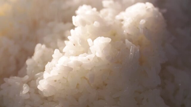 Korean traditional food freshly cooked white rice bowl steam 대한민국 한국 전통 음식 쌀 밥 한식 김나는 쌀밥 갓지은 주외식 주식 식재료 김 모락모락 뜨거운 식사 점심 저녁 맛집 전통의 맛 로컬 푸드 건강식 영양 웰빙 다이닝 식문화 일상 집밥 쌀알 탄수화물 신선한 에너자이저 주방 식당