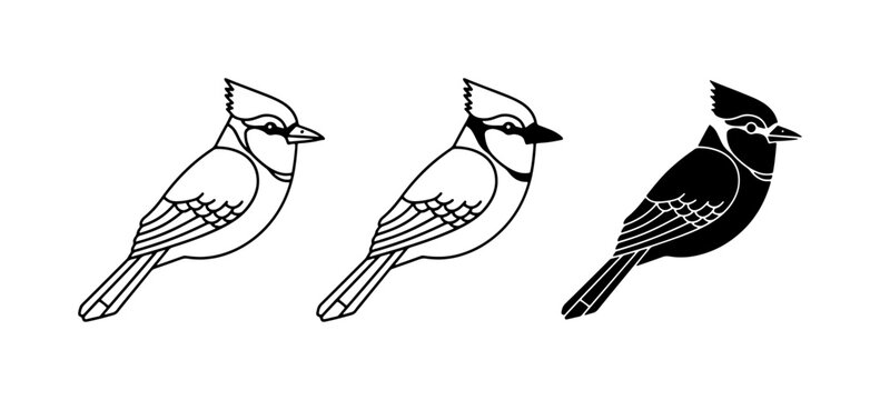 Blue Jay Vector Icons, Silhouette and Outline Bird Graphics