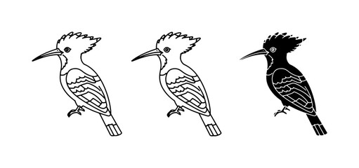 Hoopoe Bird Vector Icons, Black and White Line Art, Silhouette © Shahidul