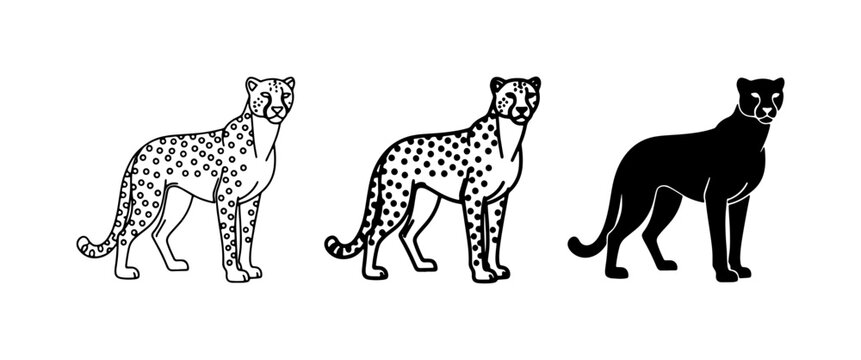 Cheetah Vector Icons: Outline, Detailed, Silhouette. Wild Cat Graphics.