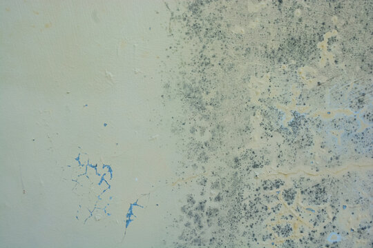 Moldy damp wall texture with mildew stains and peeling paint grunge abstract background