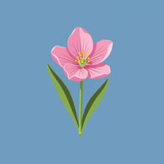 Fototapeta premium Vector illustration of a single pink spring flower with green leaves and stem, yellow stamens, and petal detail, centered on a flat pastel blue background for web and print.