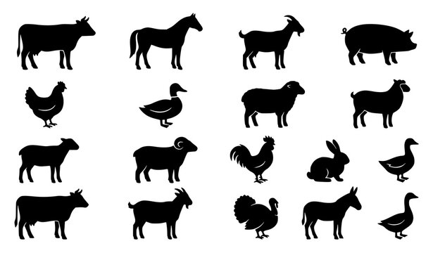 Black farm animal silhouette icon set, livestock vector collection featuring cow horse goat pig chicken and duck isolated on white background