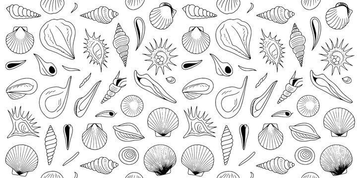 Shells collection with various shapes and patterns in black and white featuring seashells, beach, ocean with marine and nature elements for