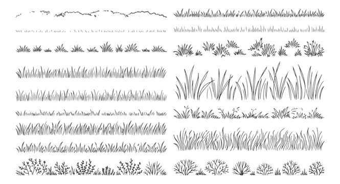 Hand drawn grass borders and meadow plant dividers, set of black ink sketch vegetation elements, organic botanical line art for landscape design