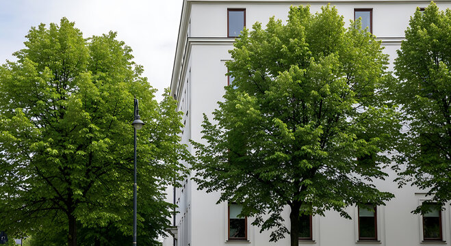 Classic White Mansion Surrounded by Lush Green Forest Trees Under a Bright Blue Sky