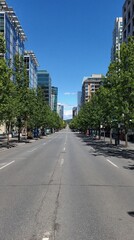 Obraz premium Sunny Urban Street Lined with Trees and Modern Buildings on a Clear Summer Day