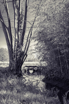 black and white river flowing between trees