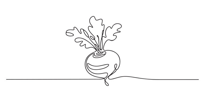 beetroot continuous one line drawing, Continuous one line drawing of whole and half sliced healthy organic raw beetroot for farm logo identity. Fresh table beet concept vegetable icon. Single line