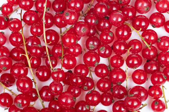 Macro red currant detail, vibrant color and textured skin, antioxidantrich suggestion for cleaneating visuals, smoothie bowl inspiration, bright nutritional tone