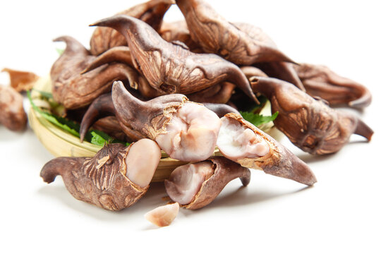 Fresh Water Chestnuts Hubei Province Chinese Gourmet Specialty Food Ingredient Lingjiao