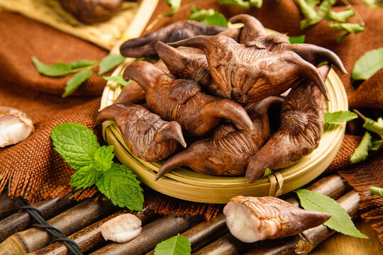 Fresh Water Chestnuts Lingjiao Specialty Fruit from Hubei China Honghu Traditional Asian Food