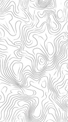 Obraz premium Topographic map contour lines pattern.