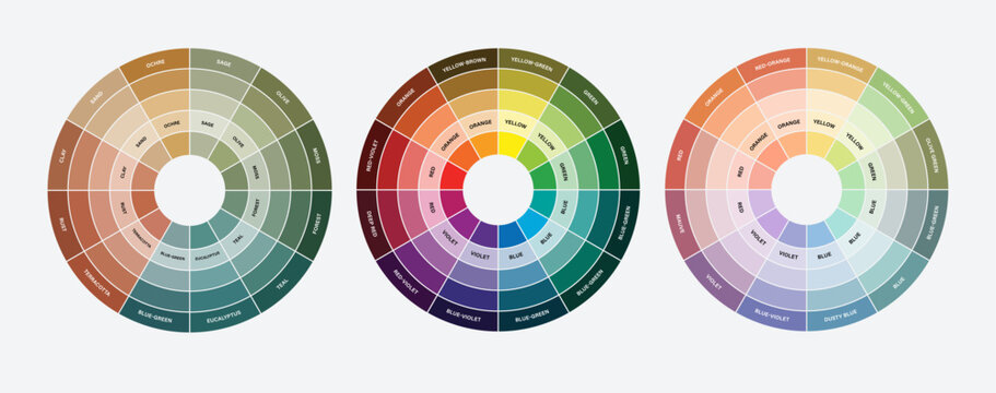 Color Wheel Chart Vector Template For Design, Color Theory Diagram, Palette Guide Infographic
