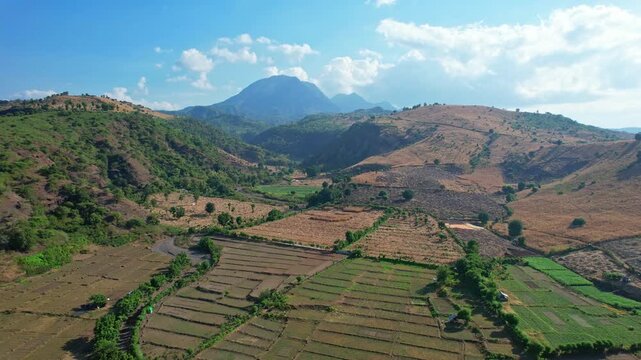 Aerial drone footage of a vast red onion dry field area, in a canyon, on the coastal road side, in Bima regency, Sumbawa island, Indonesia, with Doro Oromboha mountain in the back
