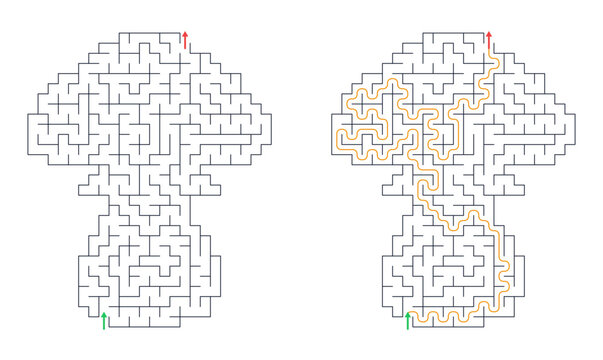 Solved maze vector showing pathways and starting points in outline. Mushroom-shaped, for kids 