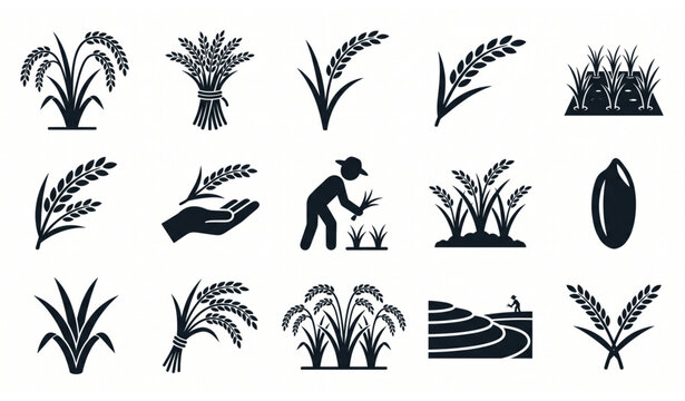 Rice Plant Icons