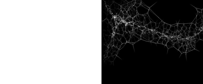 Messy tangled spider web texture with dense silk clusters isolated on transparent background for spooky atmosphere realistic cobweb overlay with dusty fibers and threads.