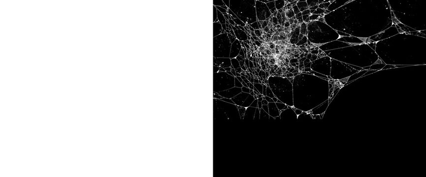 Dense clumped spider web textures isolated on transparent background with alpha channel mask for halloween design assets and dark mysterious digital art compositions.