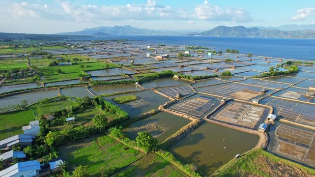 Aerial drone footage of a vast salt pond field valley nearby the sea, in Sila area, Sumbawa island, Indonesia, and green rice fields aside, farmer huts, mountains behind with Bima city bay