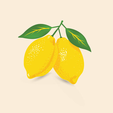 Fresh Lemon Branch Illustration on Blue Striped Postage Stamp | Summer Citrus Fruit Vector