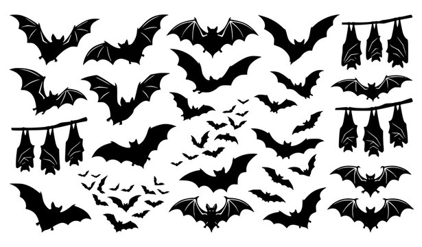 Flying Bat Silhouette Vector Collection with Gothic Halloween Horror Animal Designs