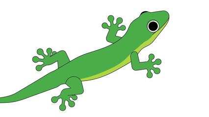 Fototapeta premium Green Gecko Lizard Illustration, Cartoon Style, White Background, Isolated