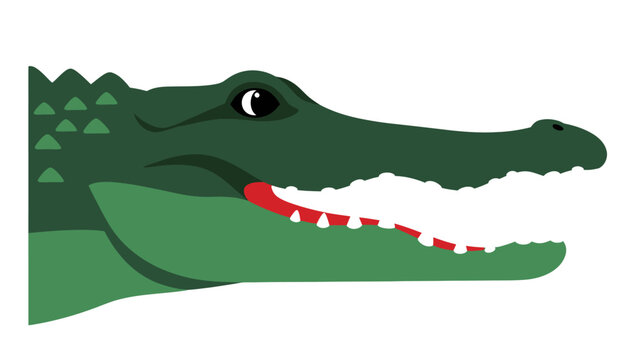 Green Alligator Head Close Up, Open Mouth, Sharp Teeth, Red Tongue, Wildlife Cartoon