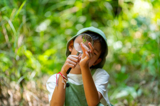 Young Asian girl exploring nature with magnifying glass examining plant leaf in tropical forest. Child learn environmental education and ecology outdoors, nature discovery adventure, science activity.