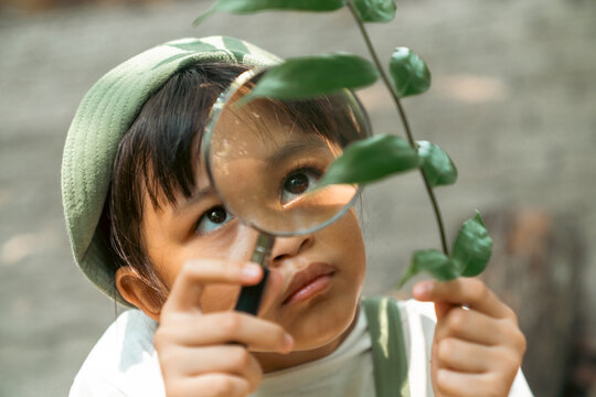 Young Asian girl exploring nature with magnifying glass examining plant leaf in tropical forest. Child learn environmental education and ecology outdoors, nature discovery adventure, science activity.