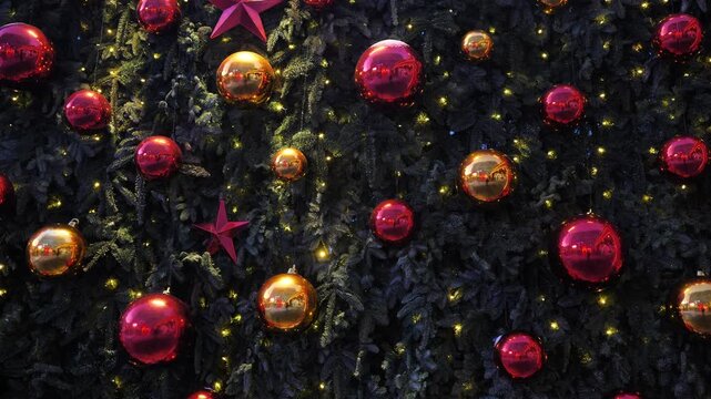 Christmas tree with red and gold baubles and festive lights decorating branches