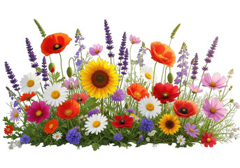 Obraz premium Vibrant meadow flower arrangement featuring yellow sunflowers, red poppies, white daisies, and purple lavender isolated on a black background