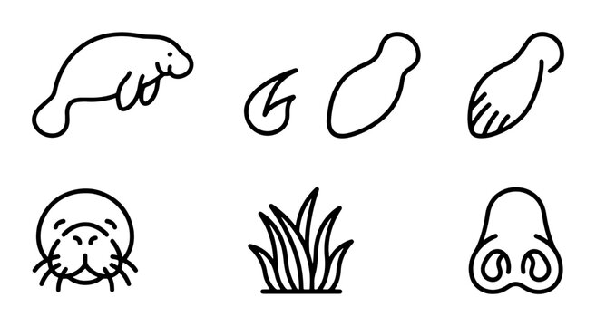 Manatee and Seal Icons, Marine Mammal Vector Elements, Aquatic Life Graphics, Simple Line Art