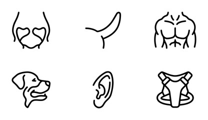 Fototapeta premium Anatomy Icons: Dog, Human Torso, Ear, Tail, Harness, Pelvis, Medical, Science, Vector Set