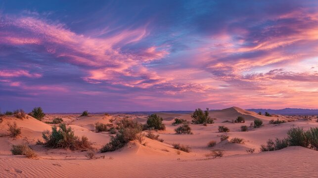 Sunset over expansive desert landscape with sand dunes and sparse bushes under vibrant pink and purple sky