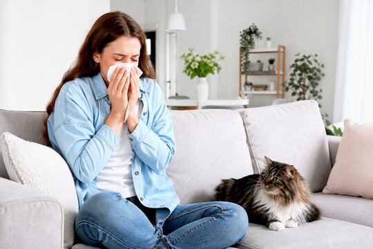 Woman blowing nose into tissue while sitting on couch with cat. Pet owner experiencing allergy symptoms to animal dander. Domestic life health issue and pet owner illness concept.