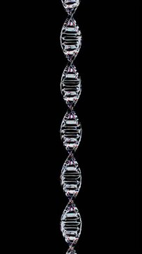3D Glass DNA Double Helix Rotating Seamless Loop on Transparent Alpha Channel Background