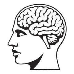 Obraz premium Human Brain Silhouette: A stylized illustration of a human head in profile, with the intricate convolutions of the brain clearly visible within. Symbolizing thought, intellect.