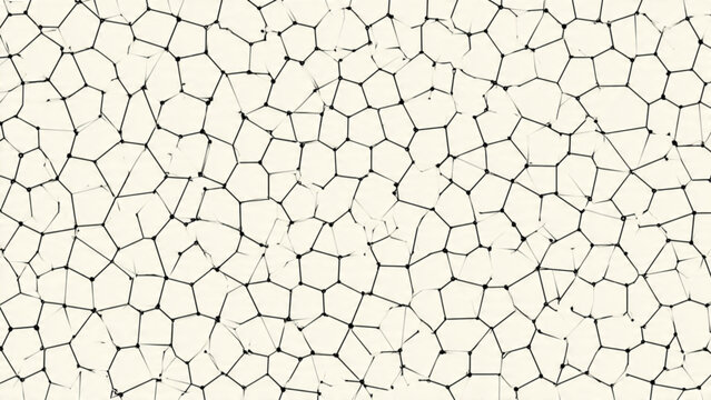 Close-up of Cracked Mud Surface with Fine Pattern in Neutral Colors for Textured Background